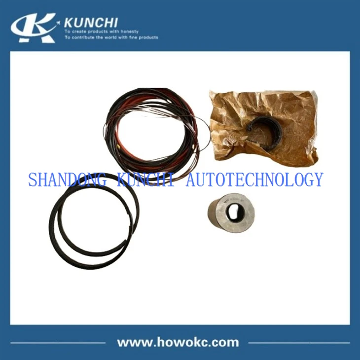 SINOTRUK HOWO Liner Kit KA100-9000200B*