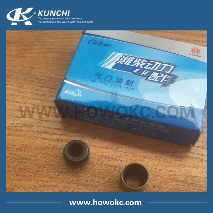 Sinotruk HOWO VG1246050027 Valve Seal