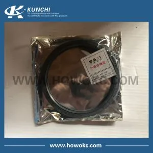 SINOTRUK HOWO AZ9100410061 roda depan Oil Seal 140 * 160 * 13