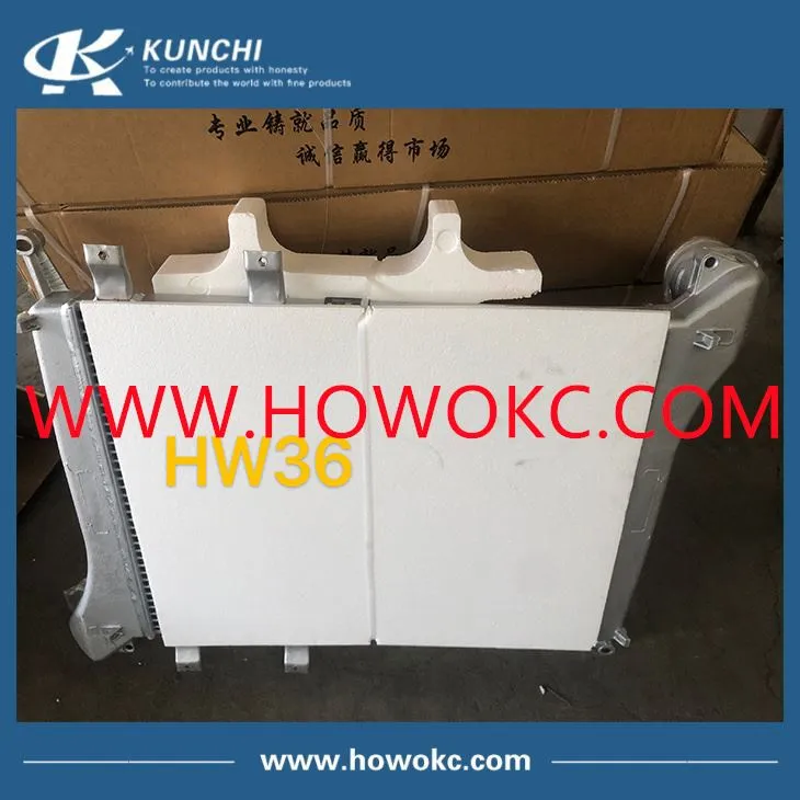 Sinotruk HOWO Intercooler WG9719530280
